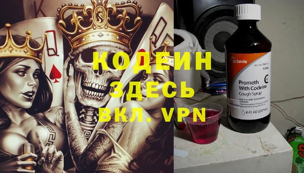 ГАЛЛЮЦИНОГЕННЫЕ ГРИБЫ Инта