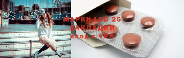 ГАЛЛЮЦИНОГЕННЫЕ ГРИБЫ Инта