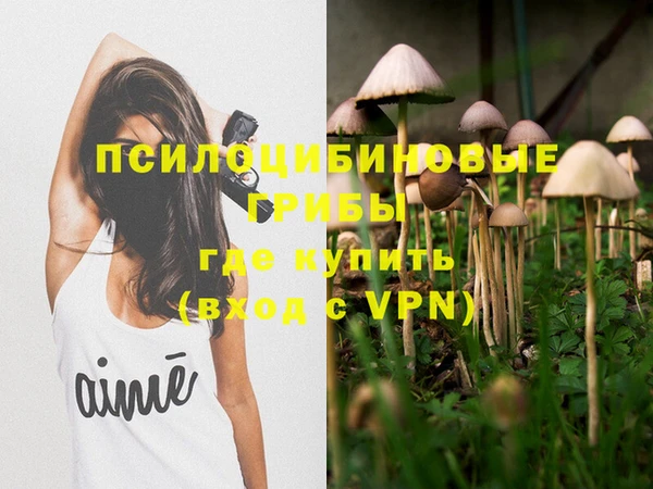 ГАЛЛЮЦИНОГЕННЫЕ ГРИБЫ Инта
