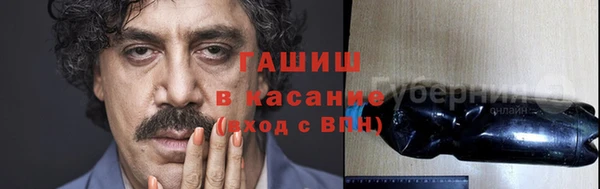 ГАЛЛЮЦИНОГЕННЫЕ ГРИБЫ Инта