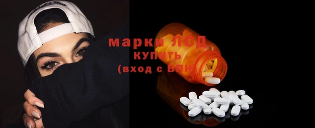 ГАЛЛЮЦИНОГЕННЫЕ ГРИБЫ Инта