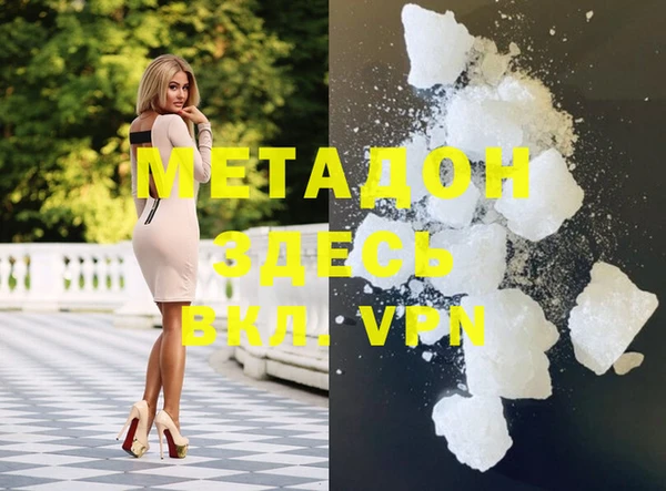 ГАЛЛЮЦИНОГЕННЫЕ ГРИБЫ Инта