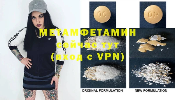 ГАЛЛЮЦИНОГЕННЫЕ ГРИБЫ Инта