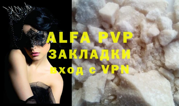 ГАЛЛЮЦИНОГЕННЫЕ ГРИБЫ Инта