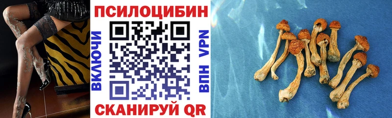 Купить  Коммунар  Галлюциногенные грибы Magic Shrooms 